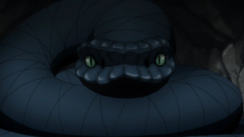 aoda