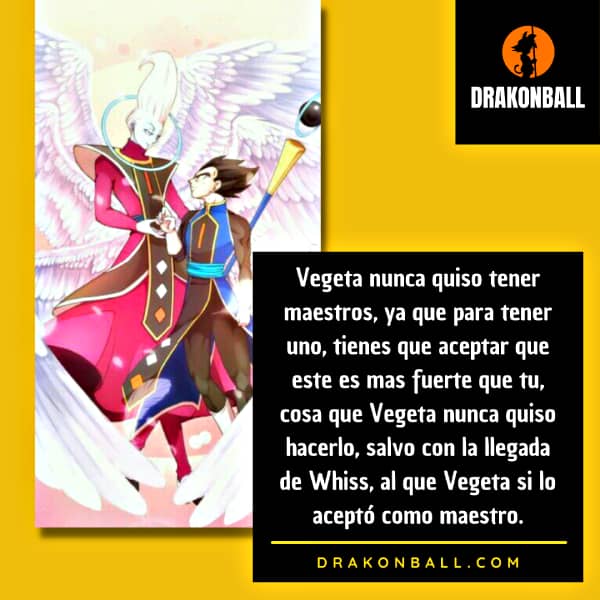 curiosidades de vegeta