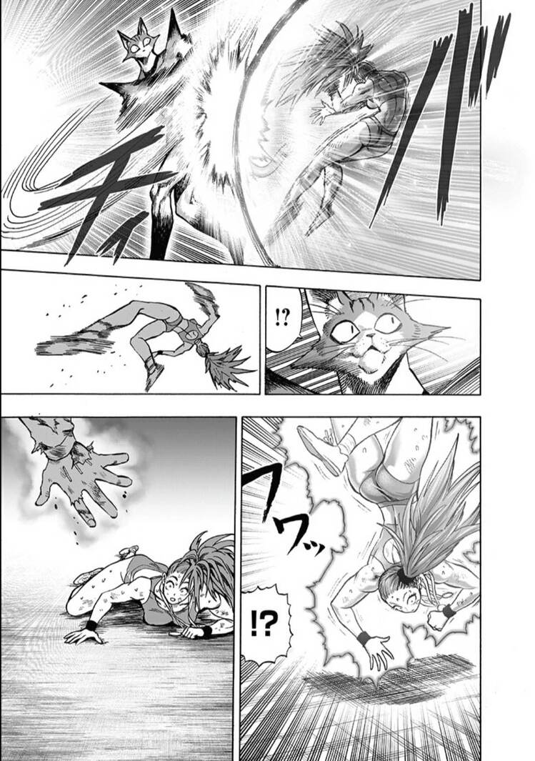 one punch man manga 160 capitulo 2