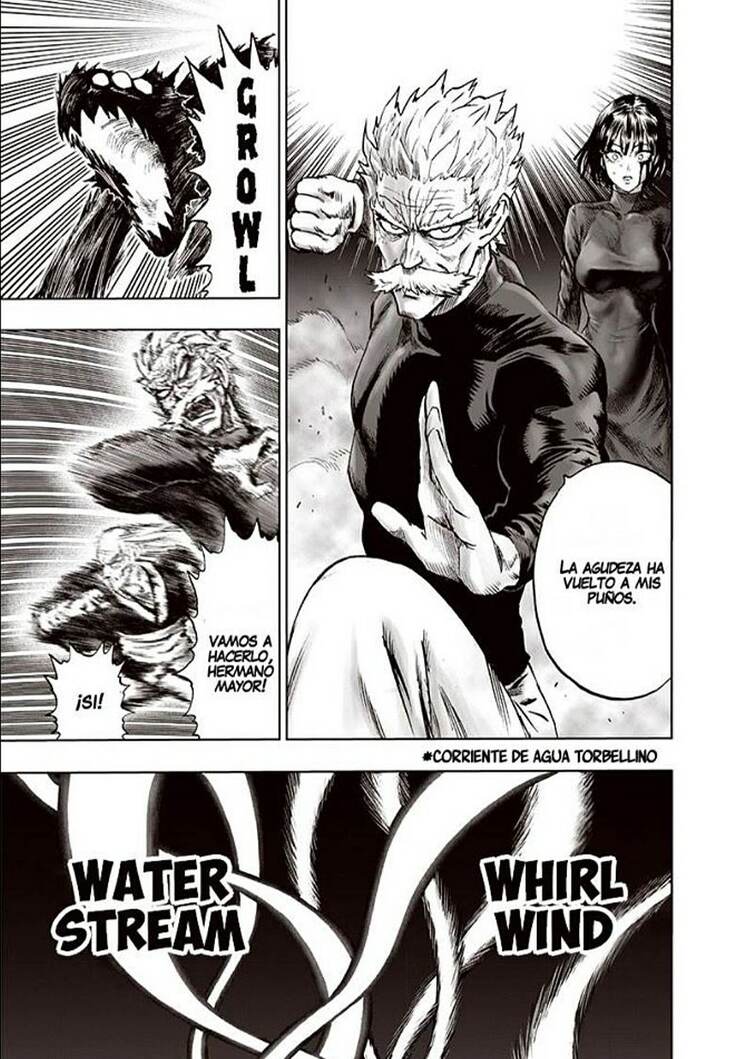 one punch man manga 167 capitulo 14