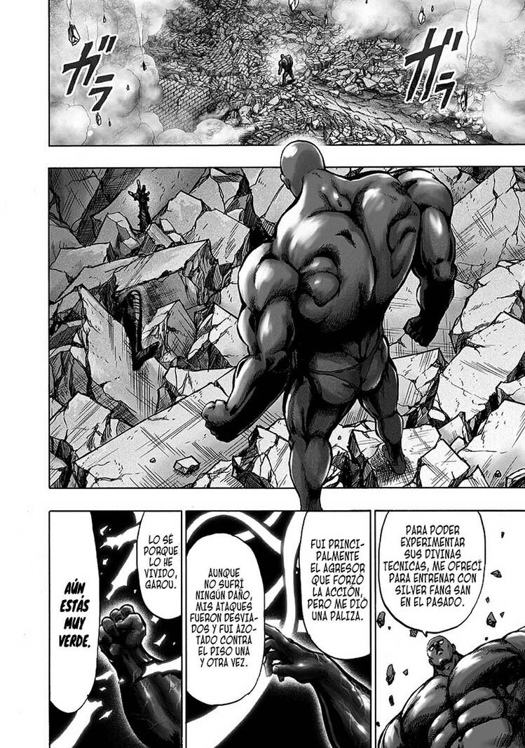 one punch man manga 170 capitulo 19