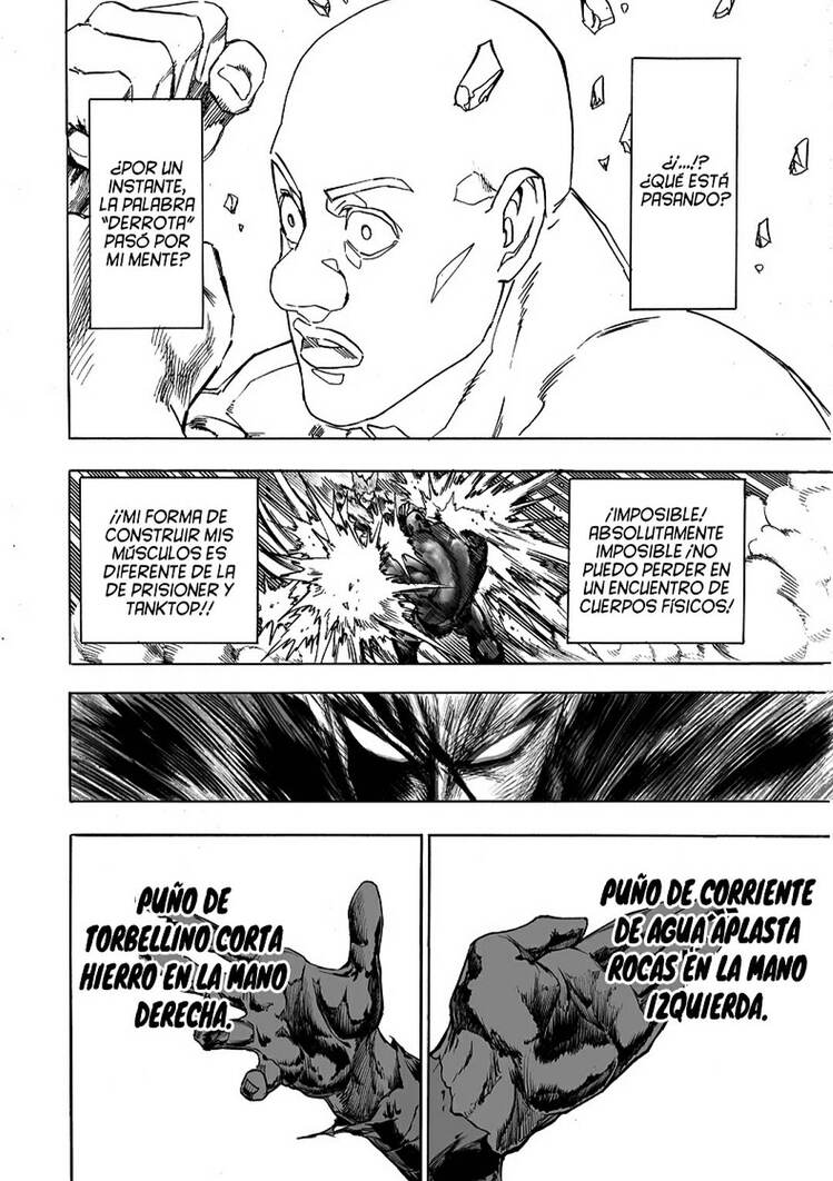 one punch man manga 170 capitulo 29