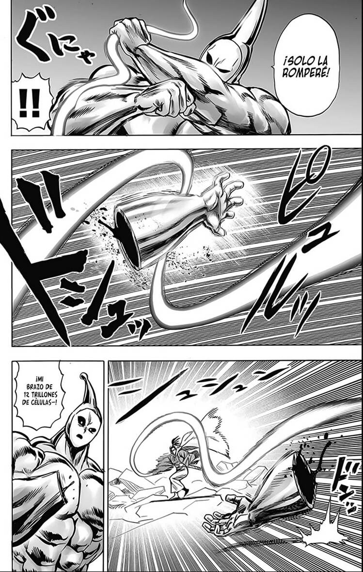 one punch man manga 195 capitulo 13