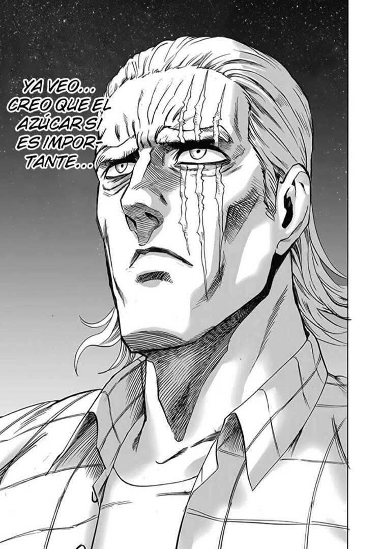 one punch man manga 196 capitulo 28