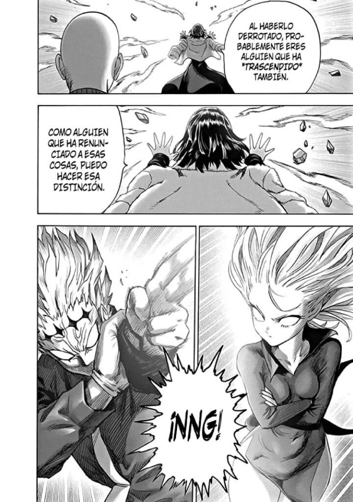 one punch man manga 221 capitulo 23