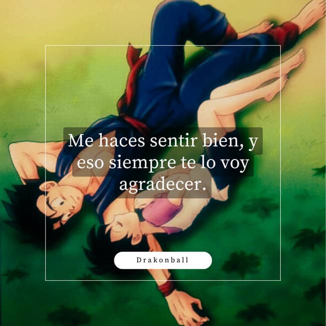 FRASES de AMOR para DEDICAR 2 gohan y videl amor