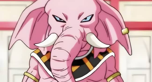 DRAGON BALL SUPER MANGA 11 ramush