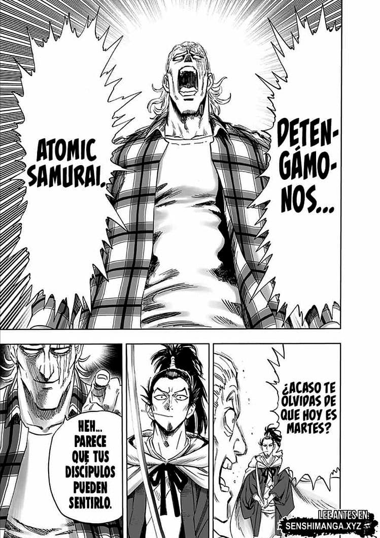 ONE PUNCH MAN MANGA 234 COMPLETO ONLINE 11 one punch man manga 234 10