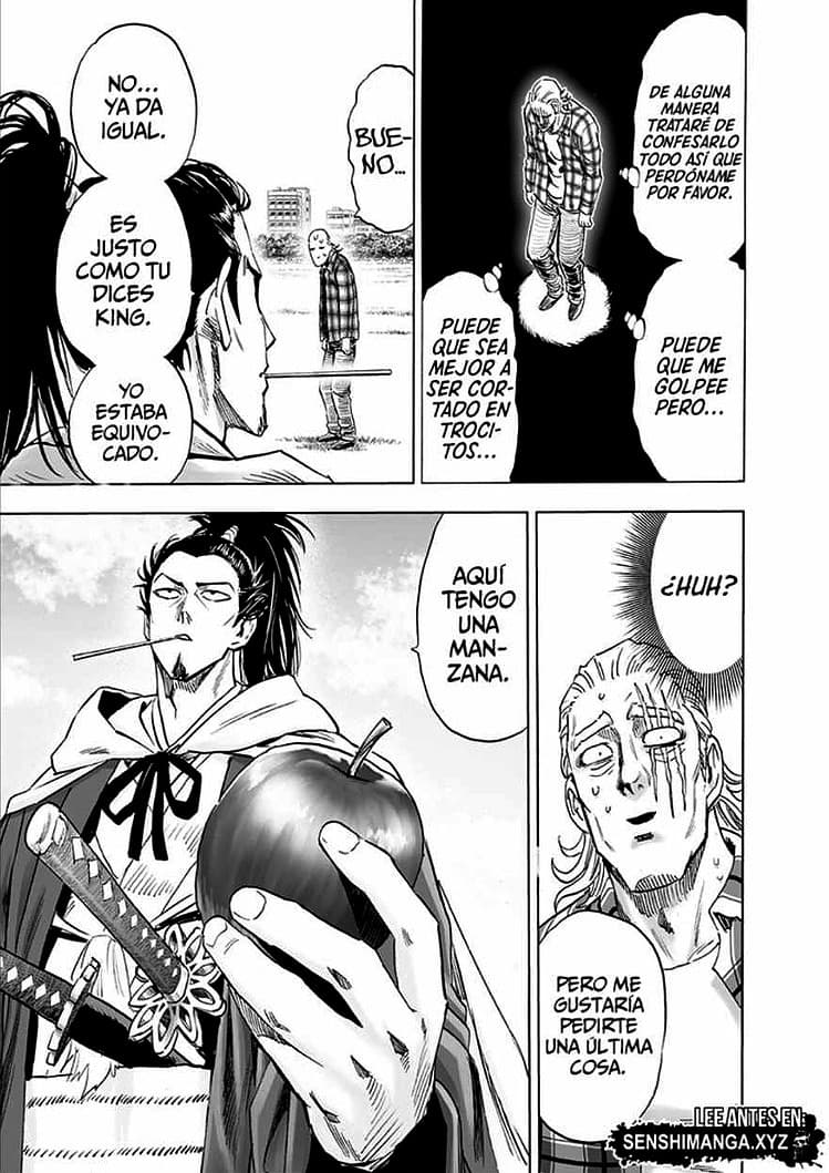 ONE PUNCH MAN MANGA 234 COMPLETO ONLINE 17 one punch man manga 234 16
