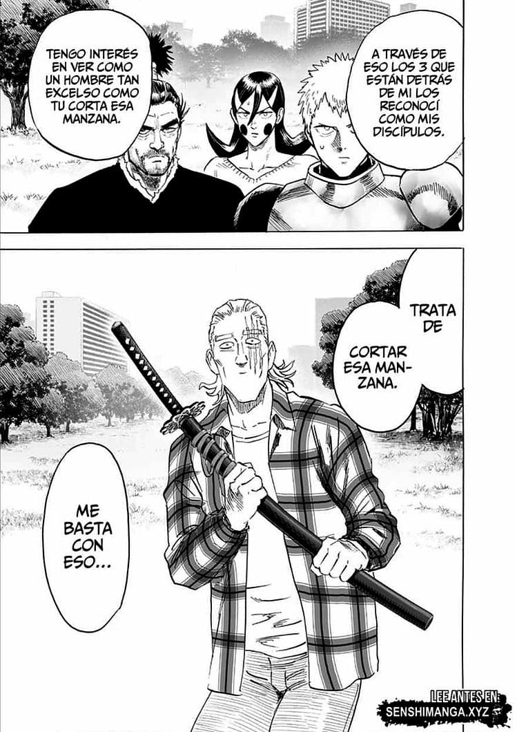ONE PUNCH MAN MANGA 234 COMPLETO ONLINE 19 one punch man manga 234 18