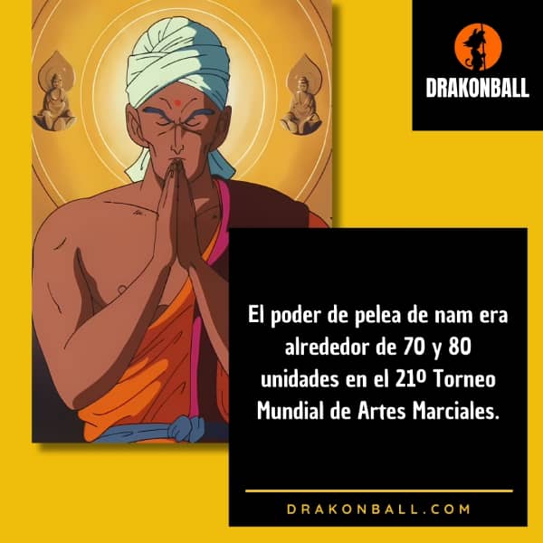 curiosidades de nam dragon ball