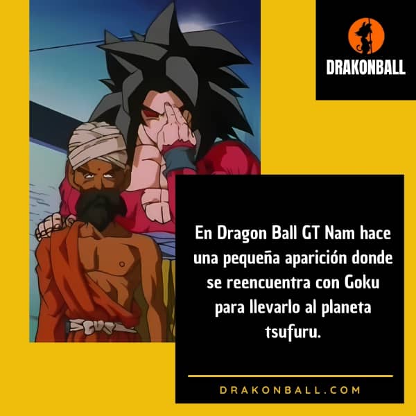 curiosidades de nam s
