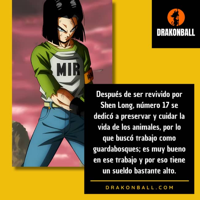 curiosidades del a17