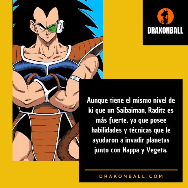 CURIOSIDADES de RADITZ 3 curiosidades de raditz dragon ball